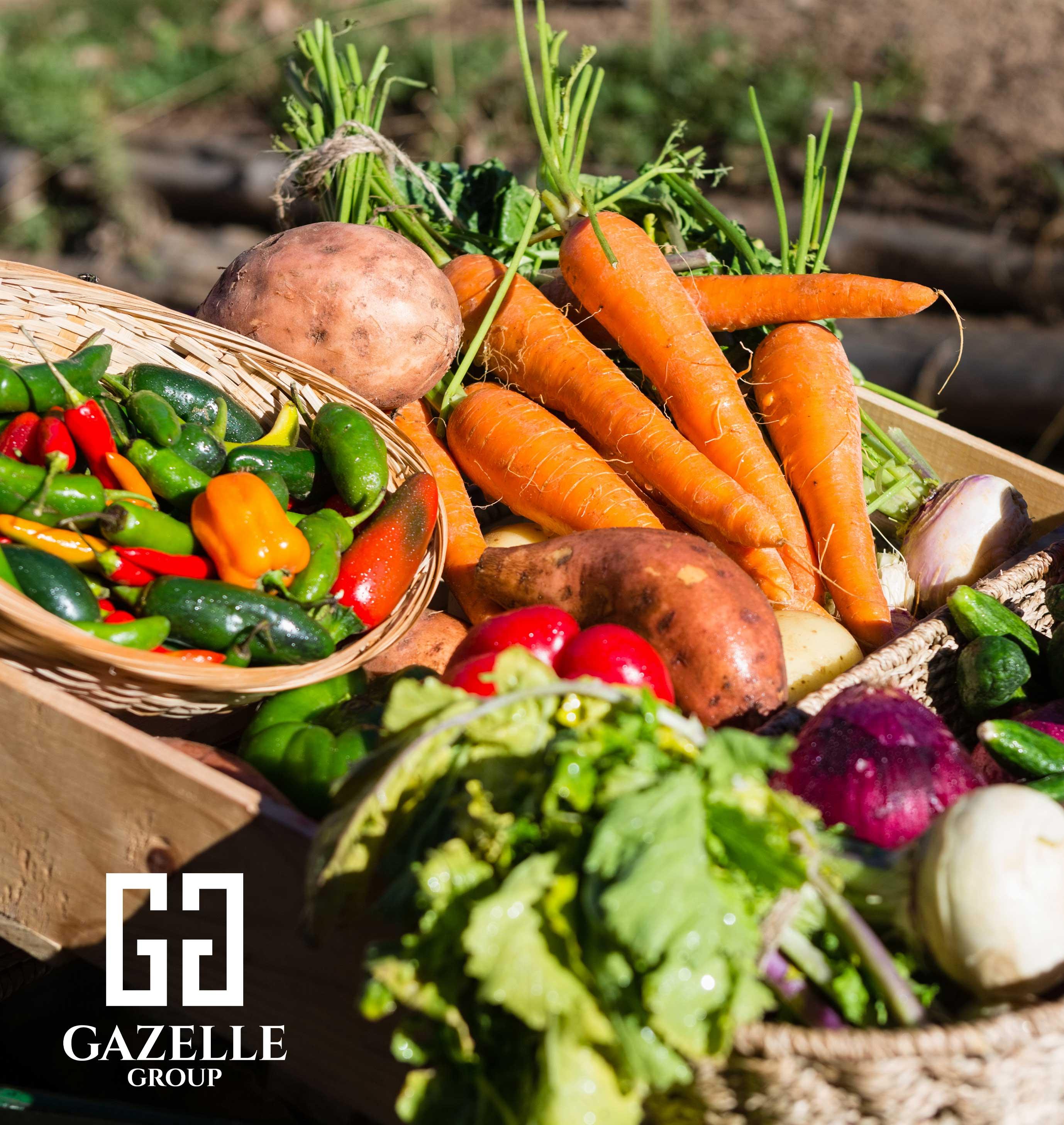 Légumes Biologiques